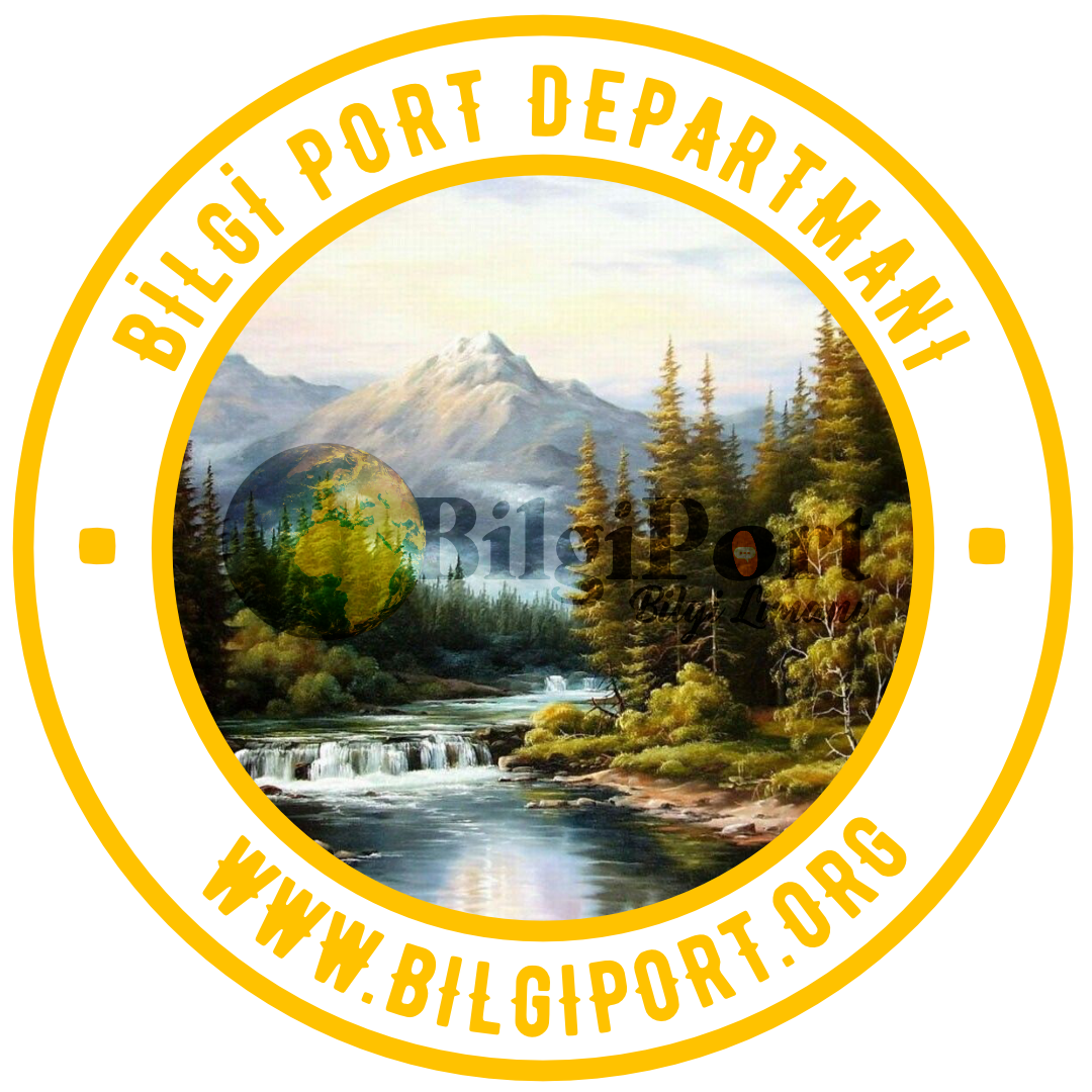 bilgiport 